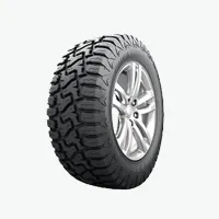 Light Truck Tires in Brampton